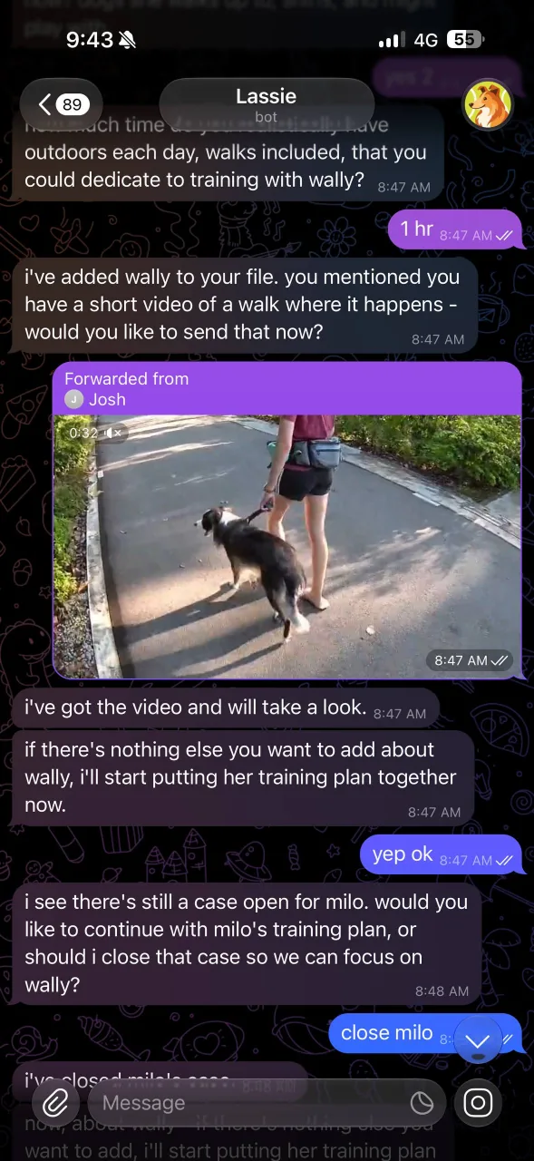 AskLassie chat flow with a dog owner